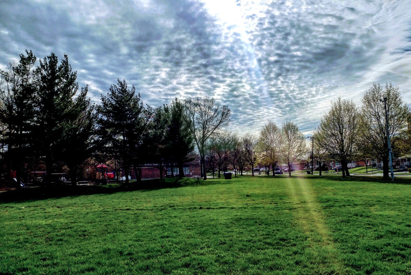 Topcliff Park, photo 3