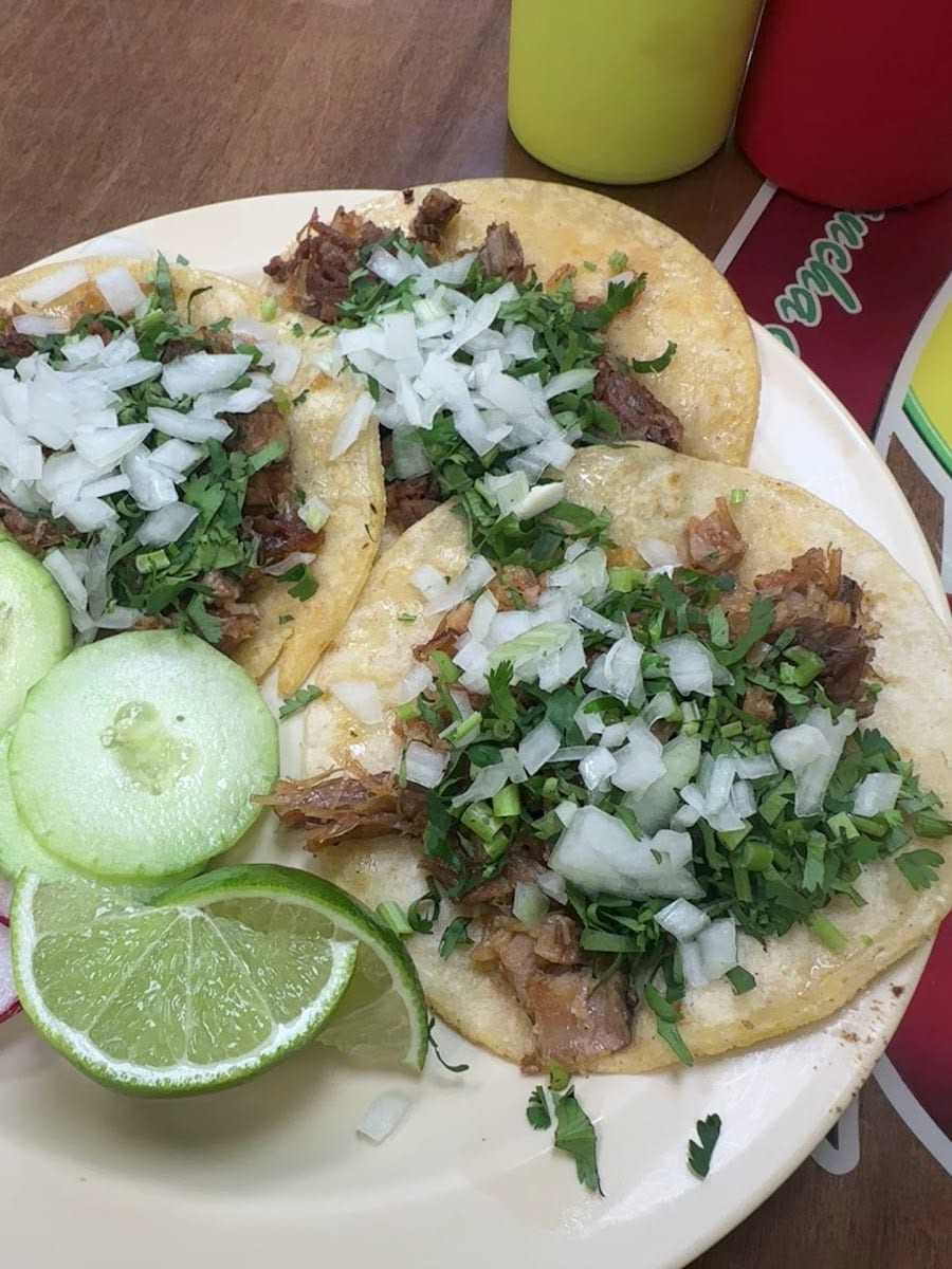 Taqueria don pancho, photo 3