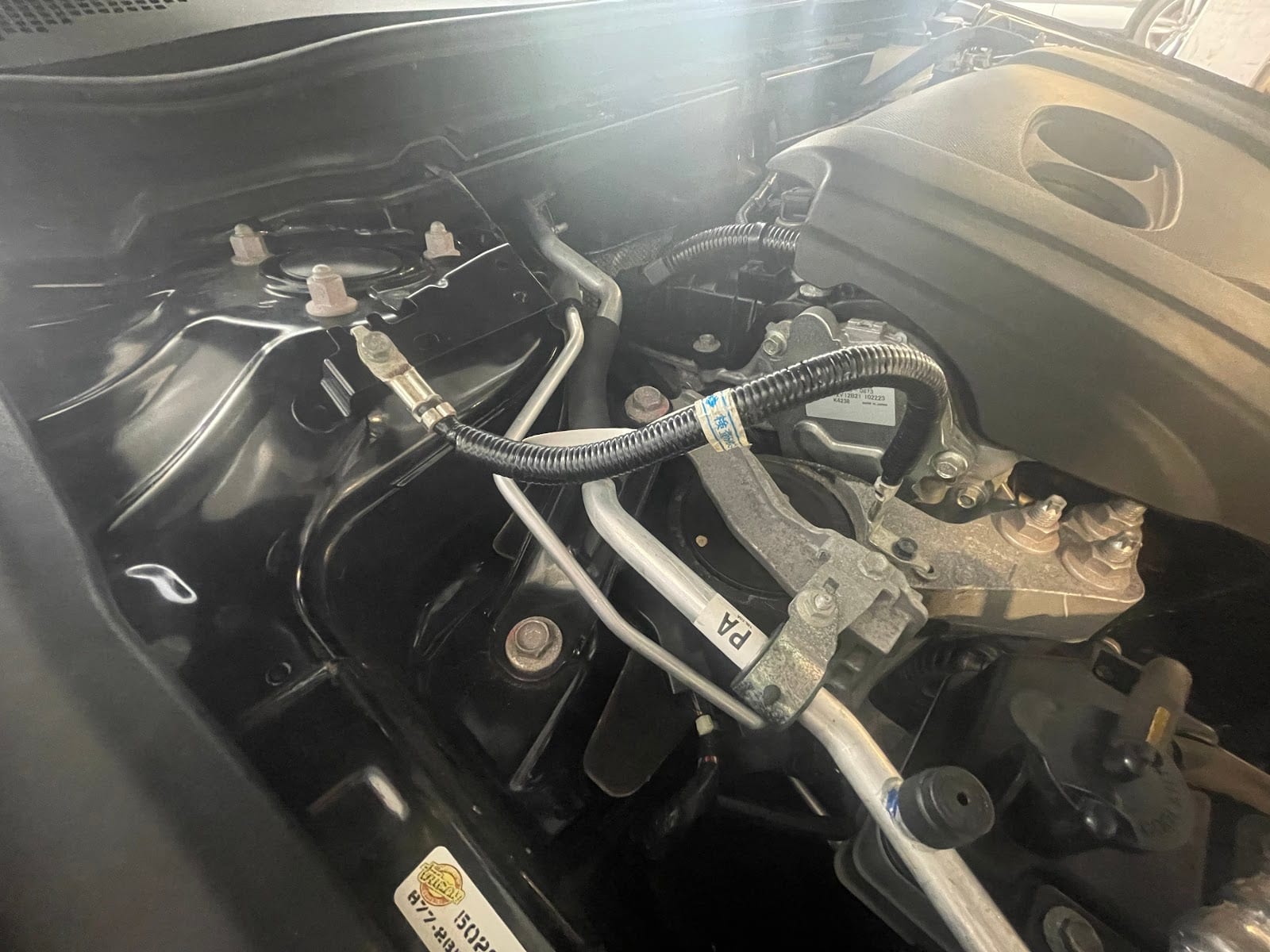 Dove auto detailing