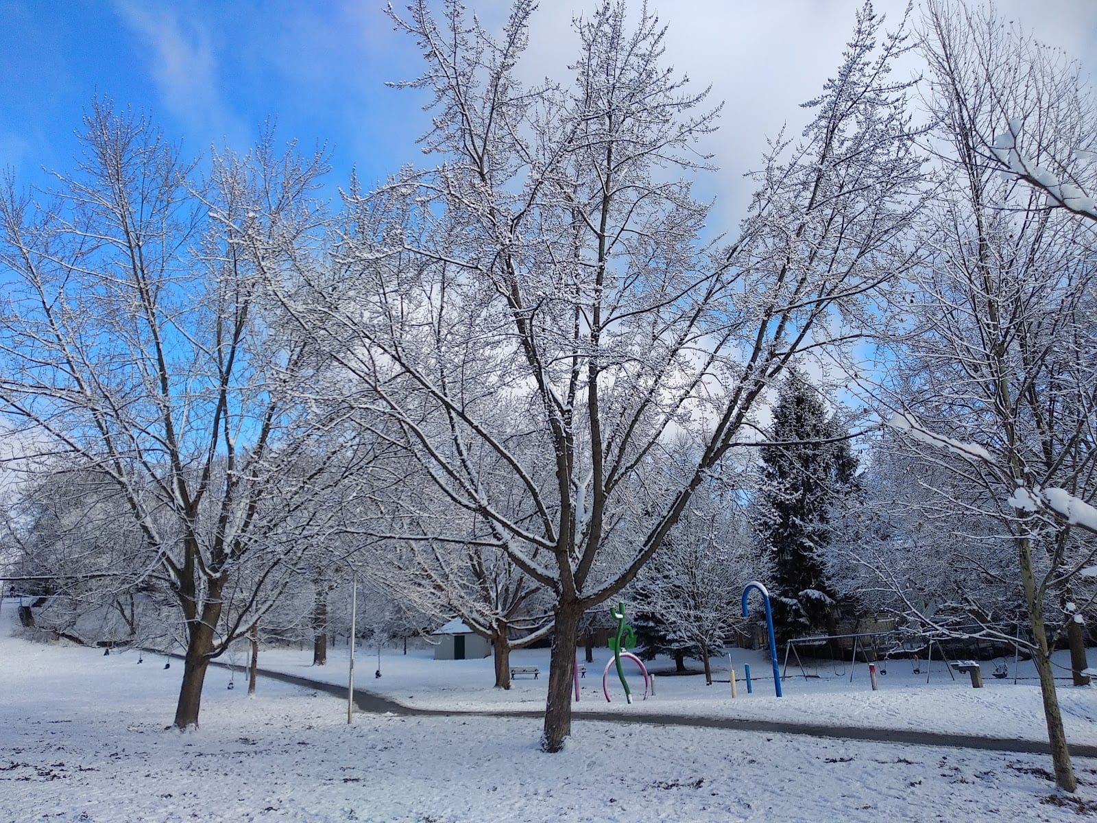 Cassels Avenue Playground