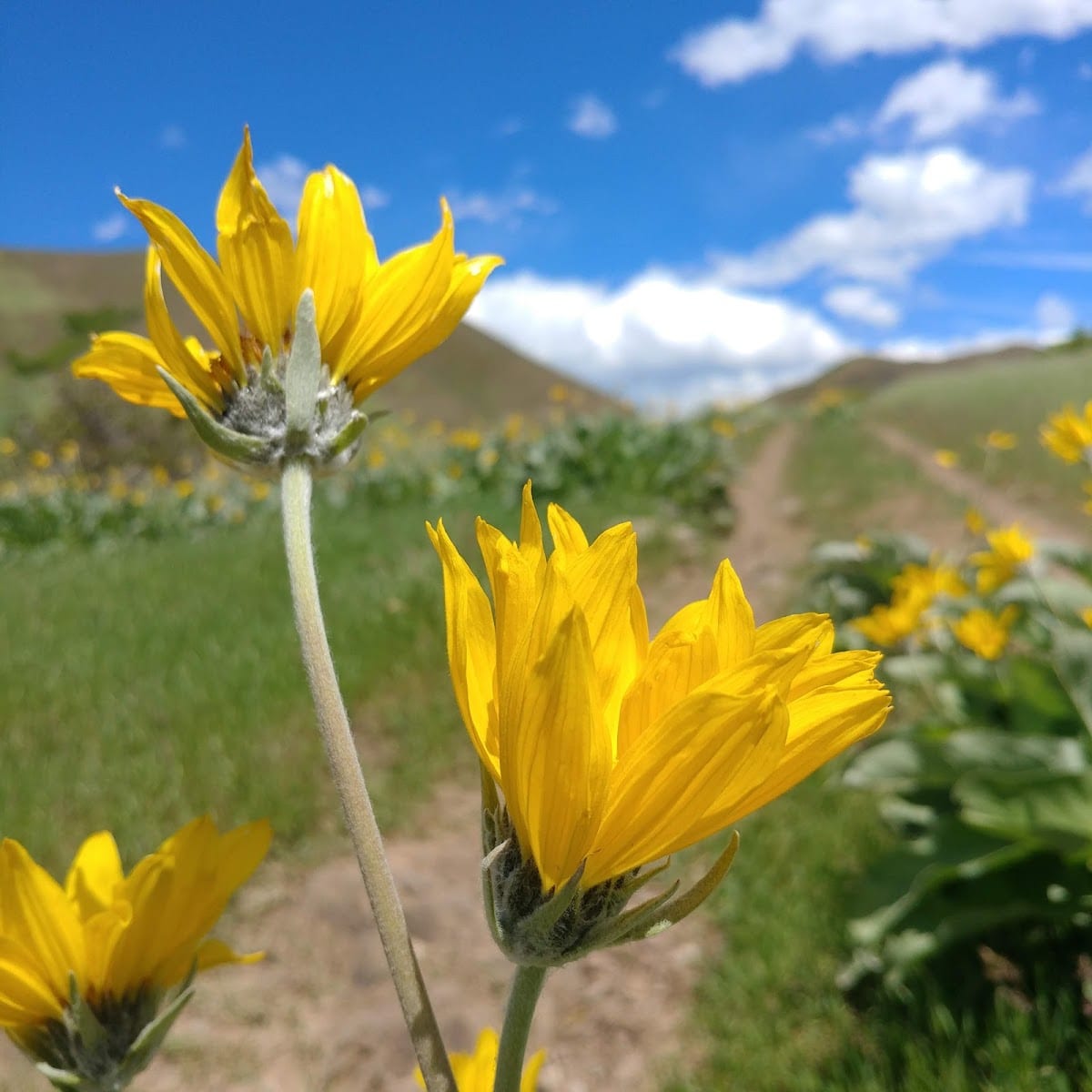 Dry Gulch Trail Head, photo 3
