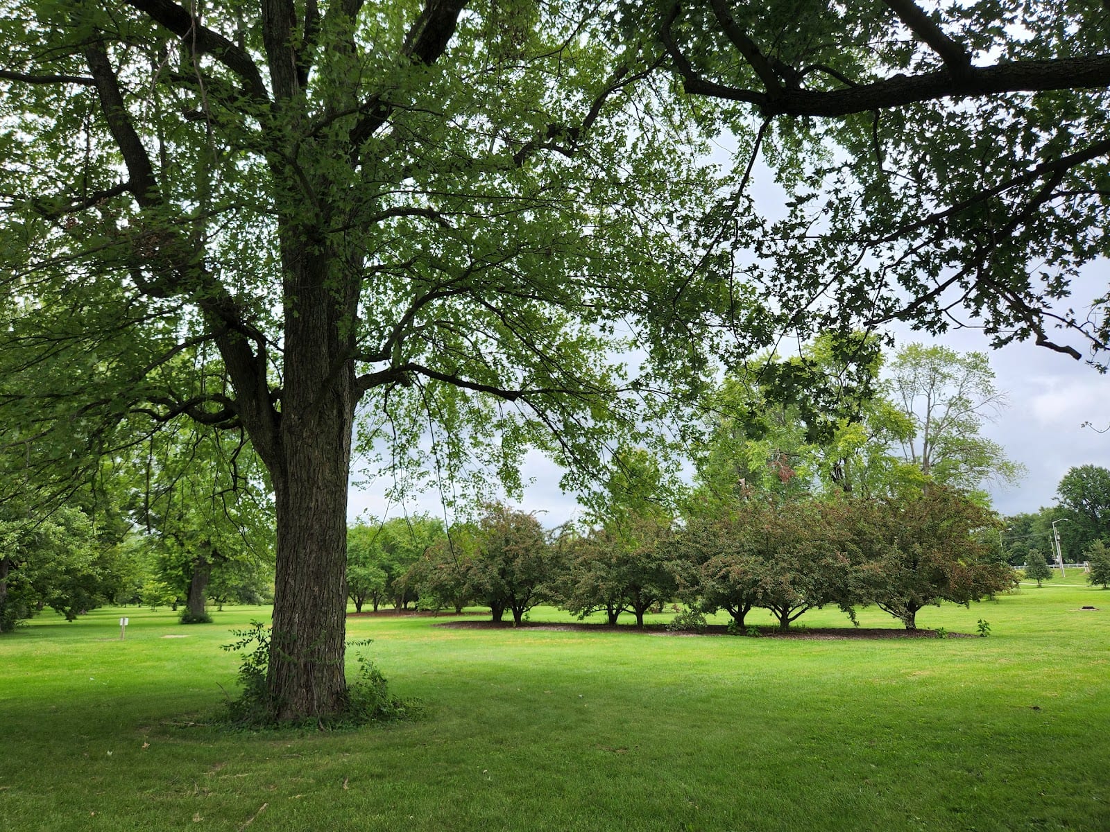 Swinney Park, photo 3