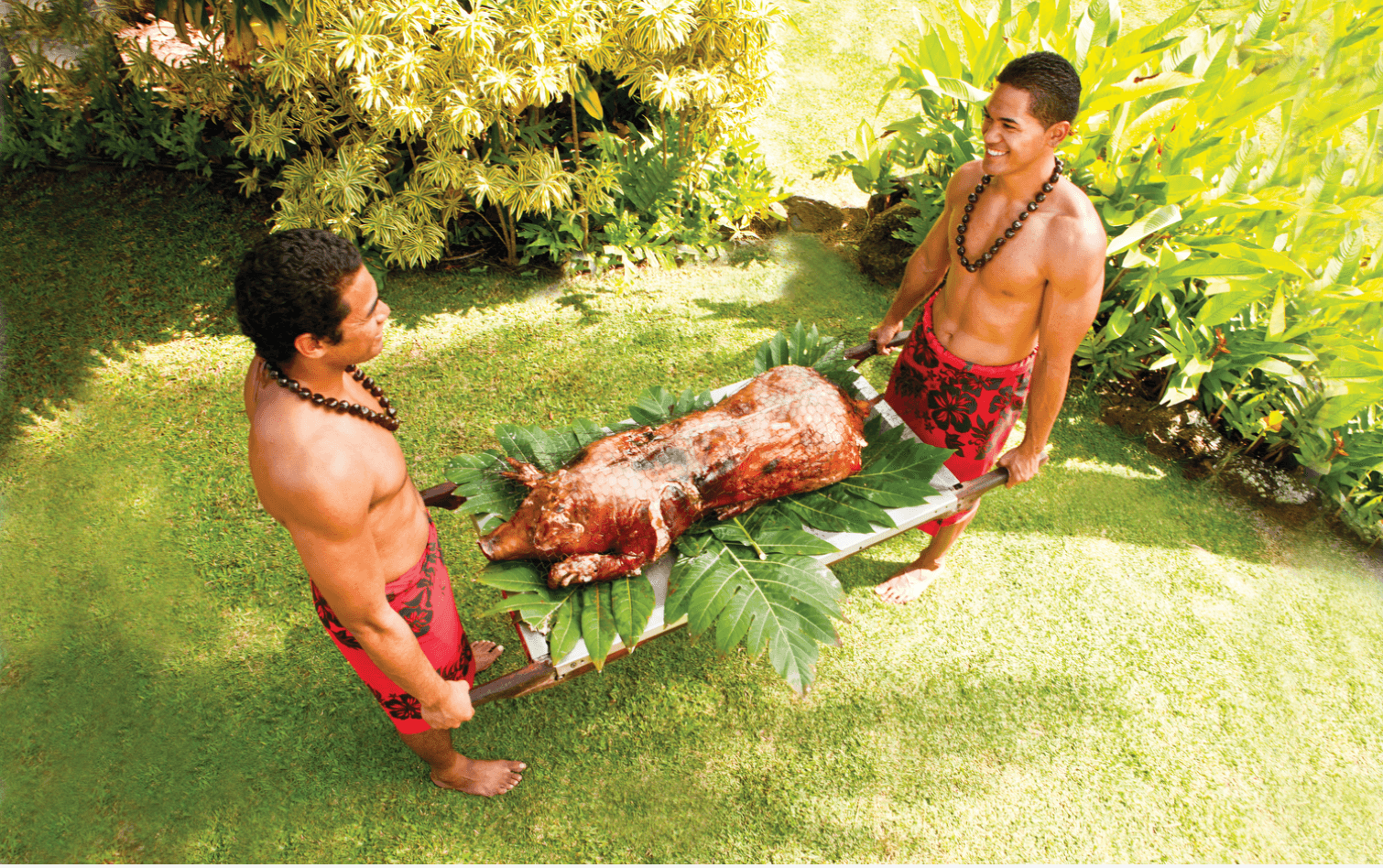 Aliʻi Lūʻau
