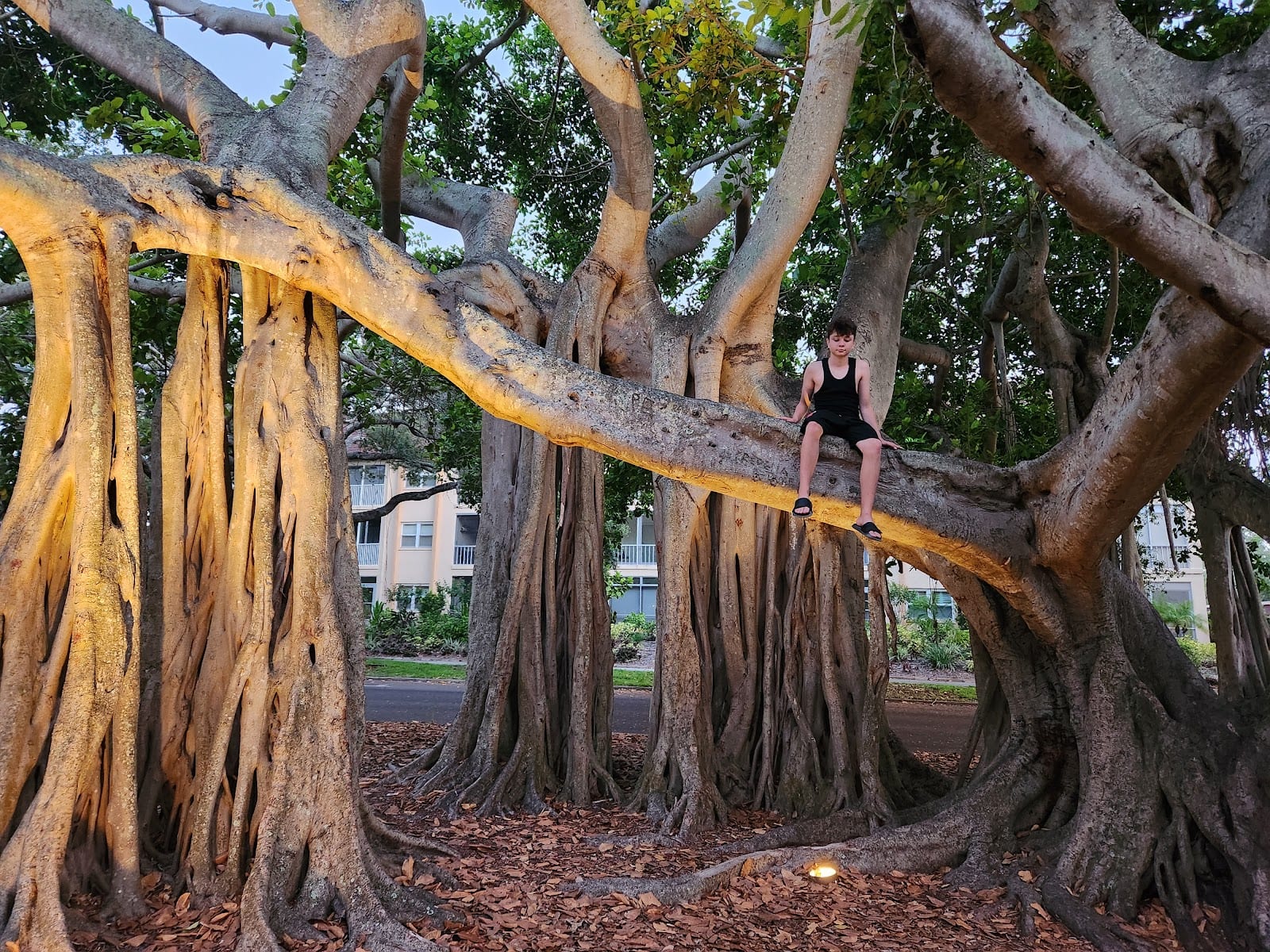 Hecksher Park, photo 3