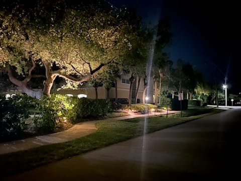 Arbor Illuminations, photo 4