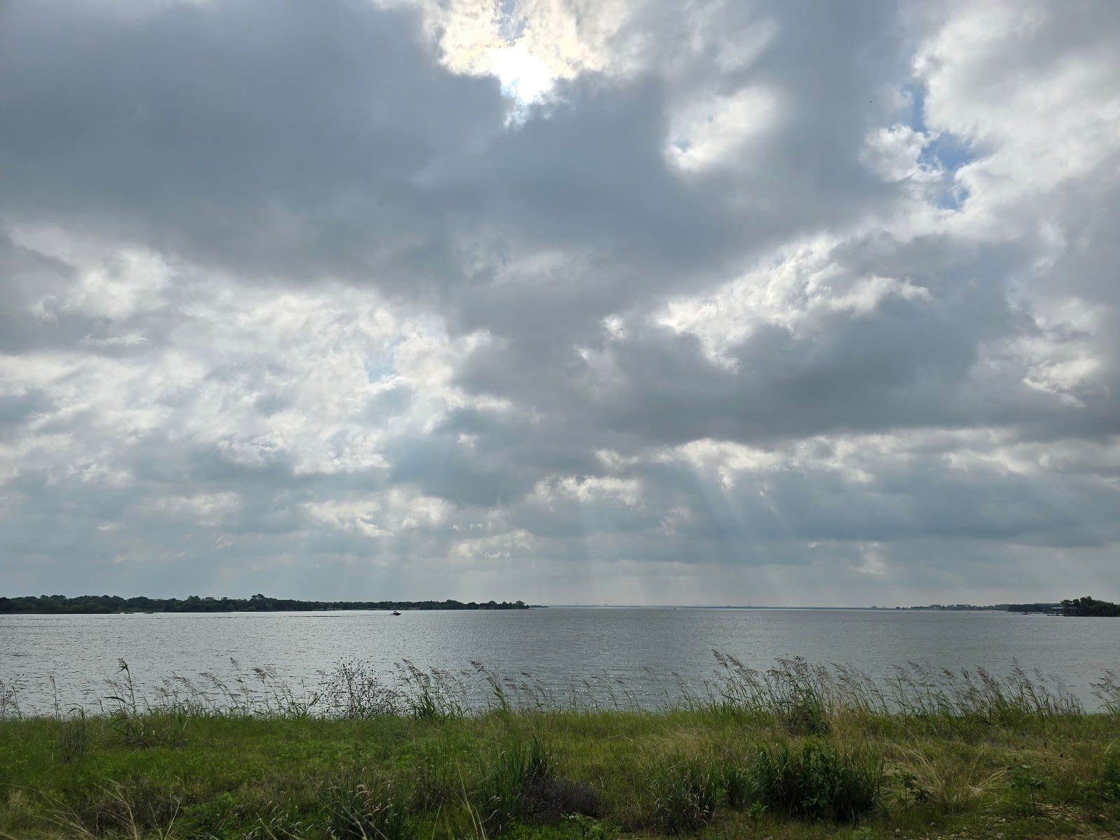 Tower Bay Park, photo 3