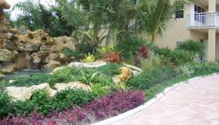 Tropical Landscape Solutions Inc., photo 2