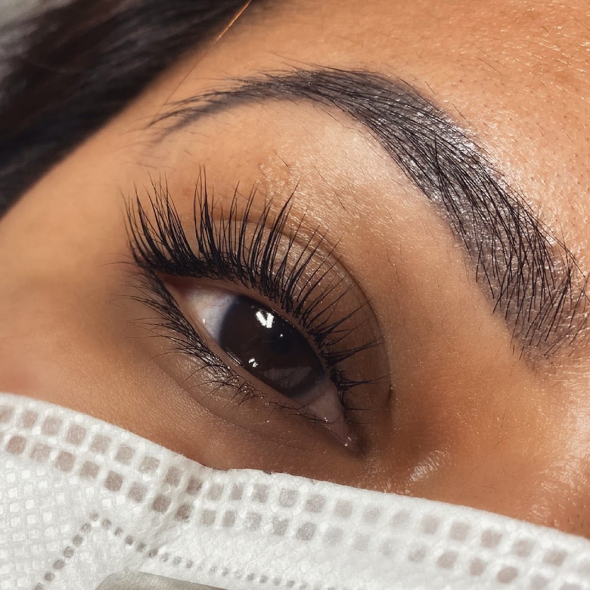 Lash Oasis, photo 2