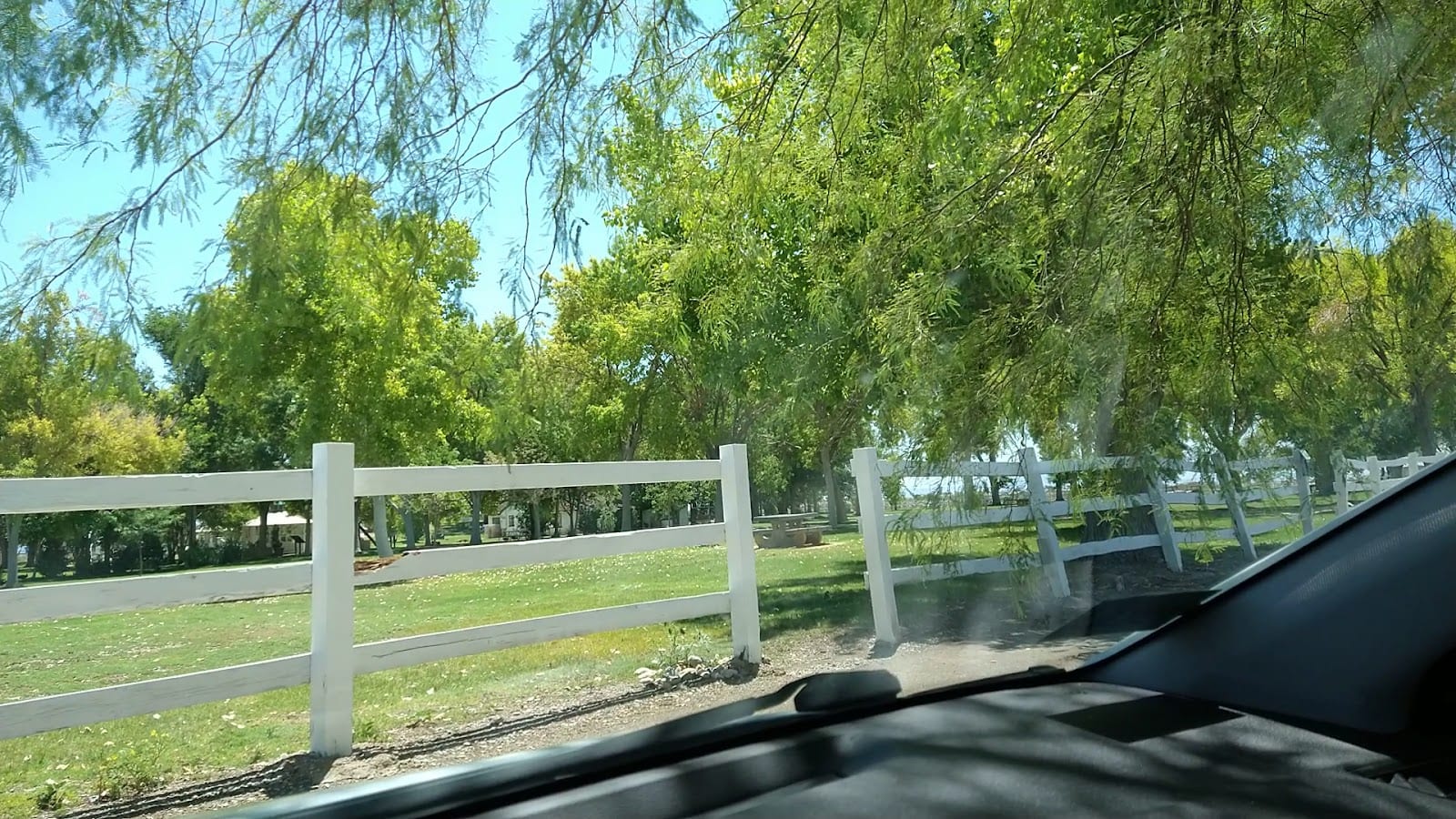 Floyd Lamb Park, photo 2
