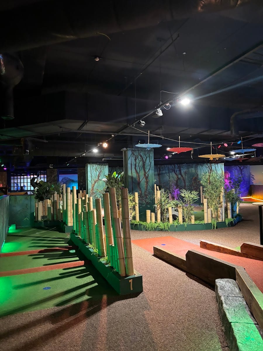Putt Putt Social Norwich, photo 4