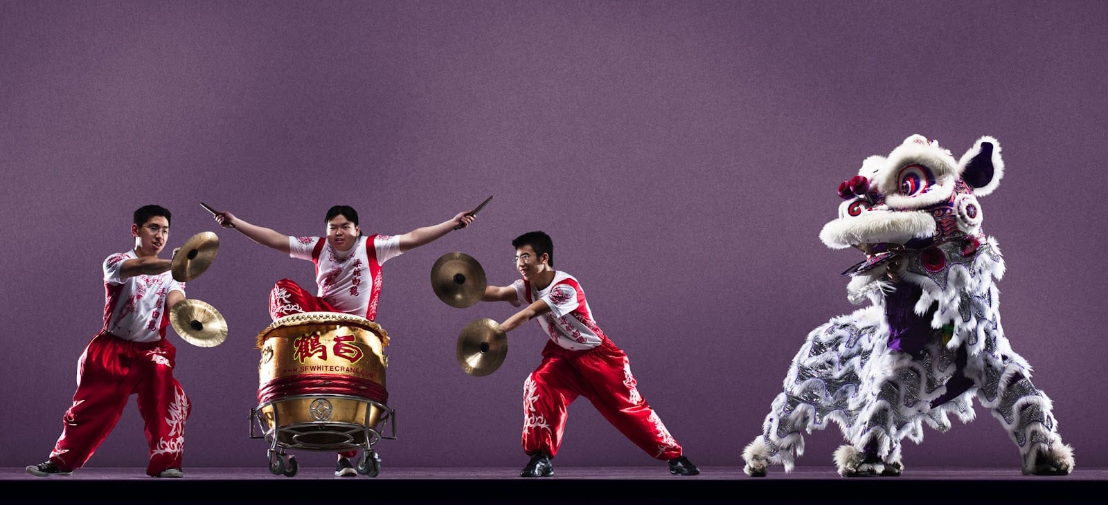 Leung's White Crane Dragon & Lion Dance Association, photo 2