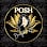 Posh Beauty Salon