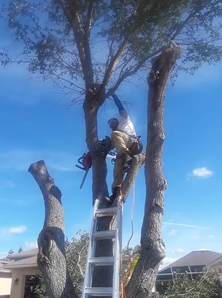 Dave Can, photo 4
