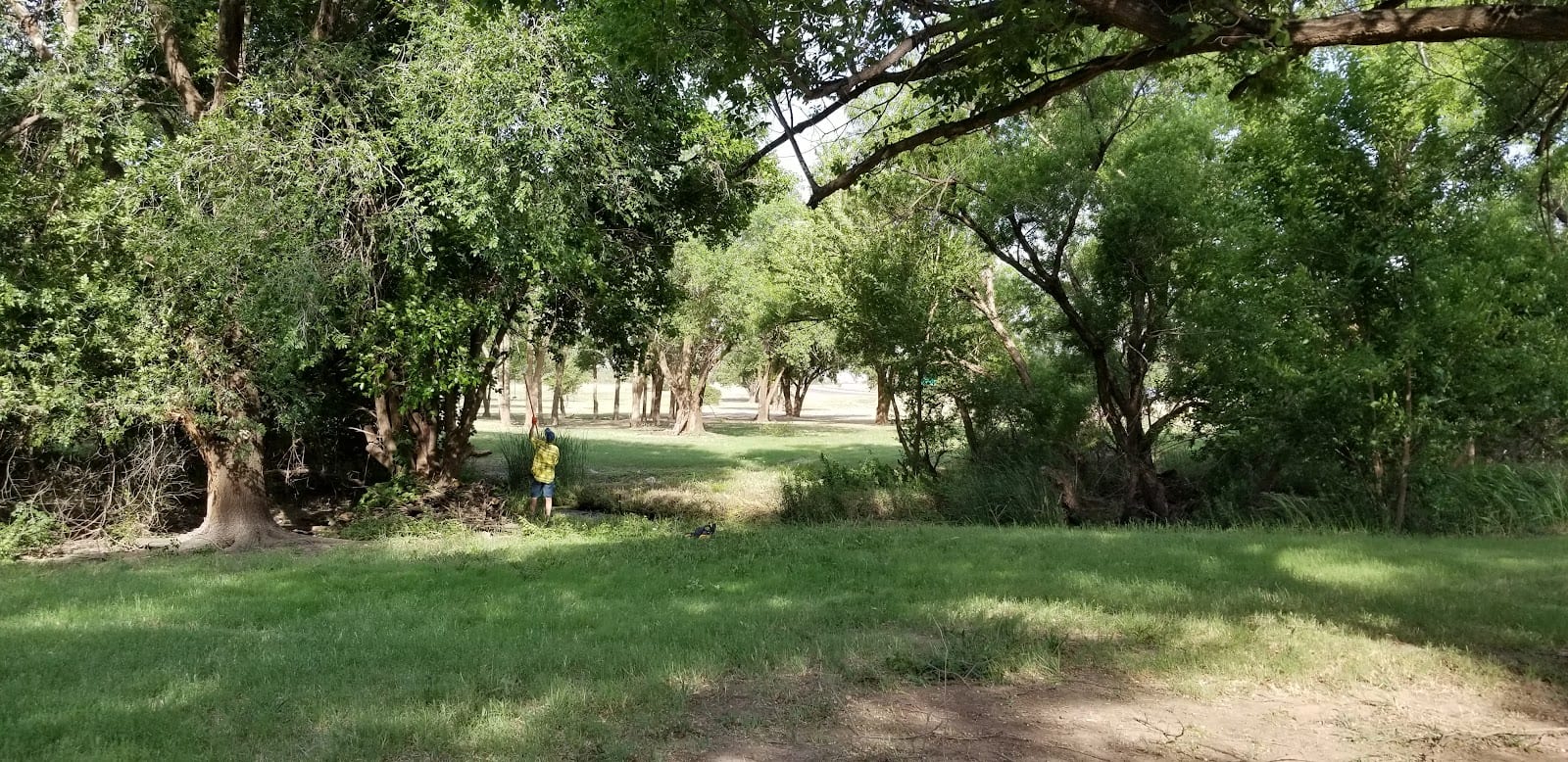 Big Mack Memorial Disc Park, photo 3