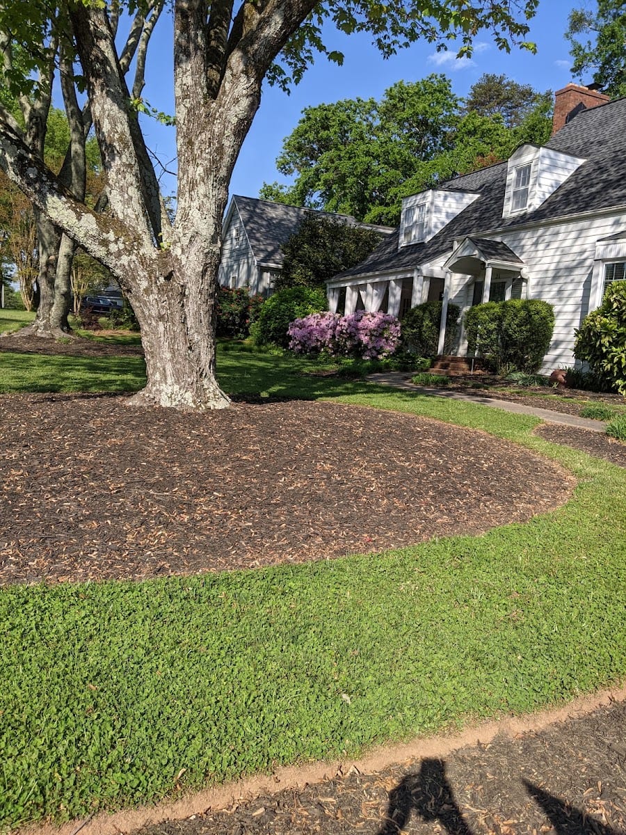Palmetto's Finest Landscapes, photo 3
