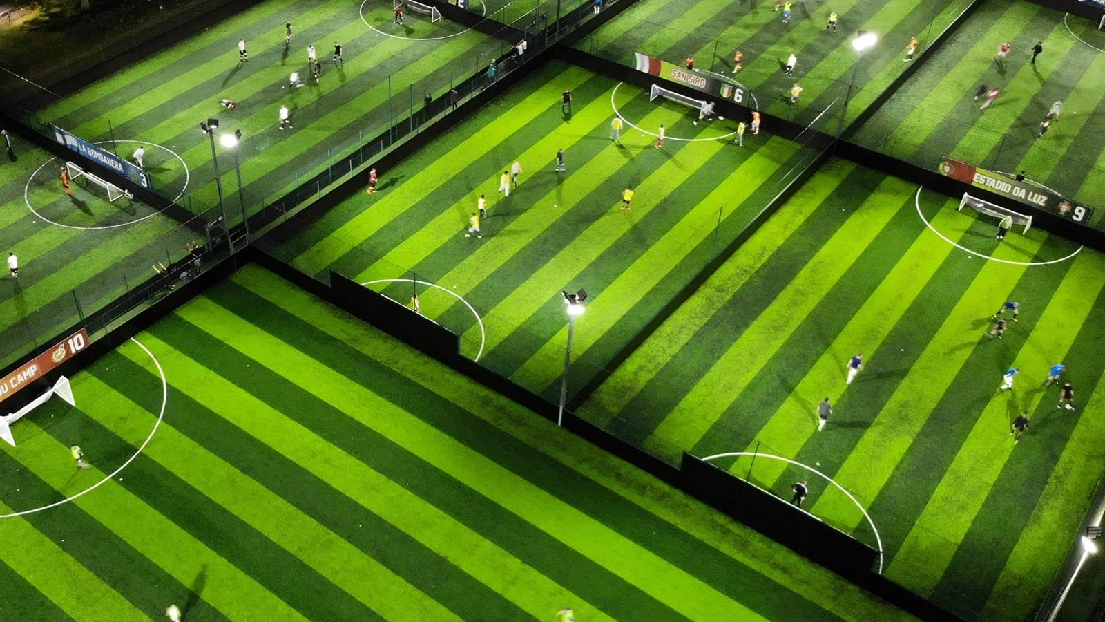 Goals Norwich
