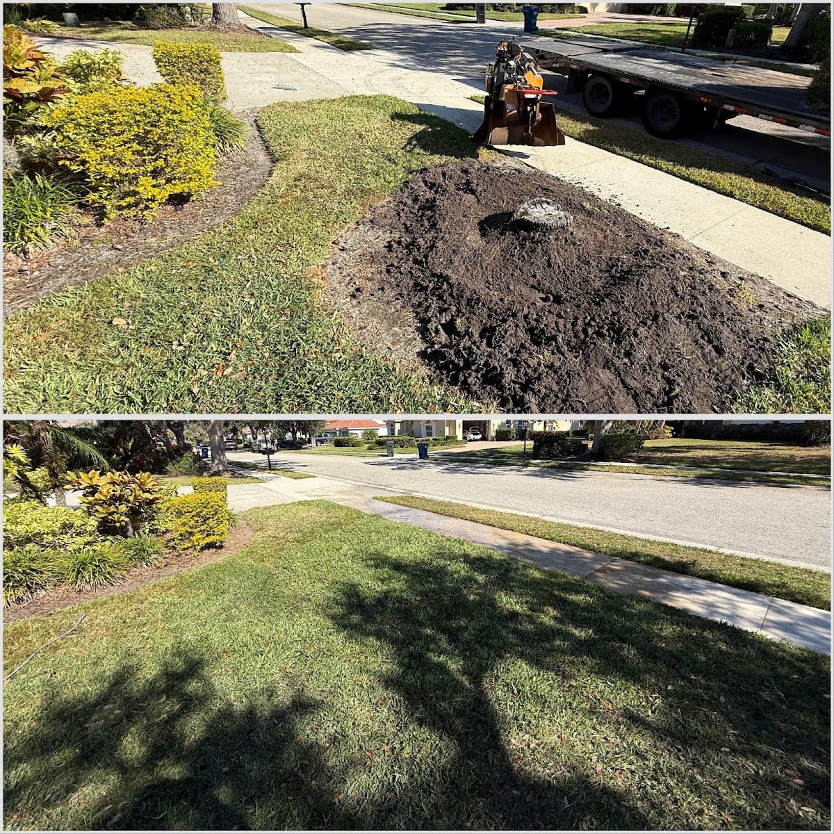 Eagle Eye Tree & Land services
