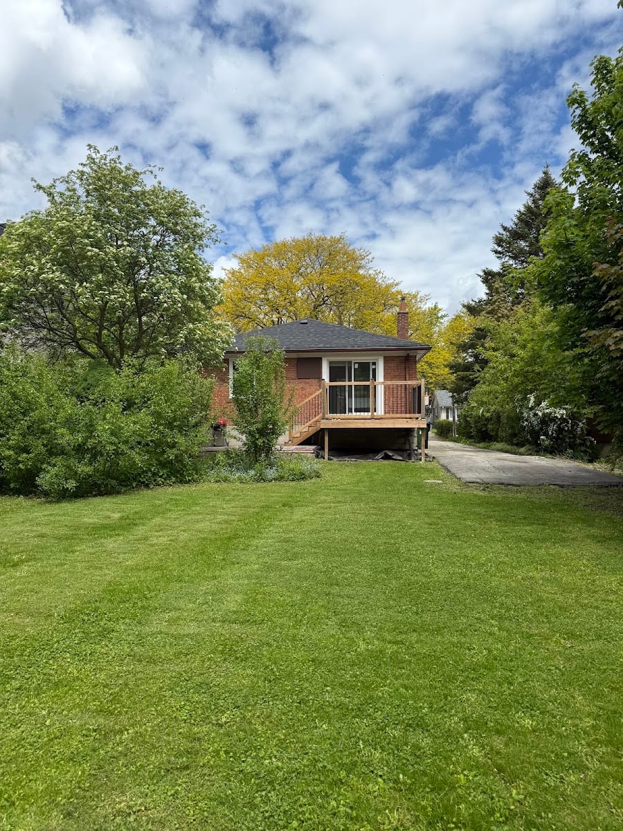 Ray Nili - Royal LePage, photo 2