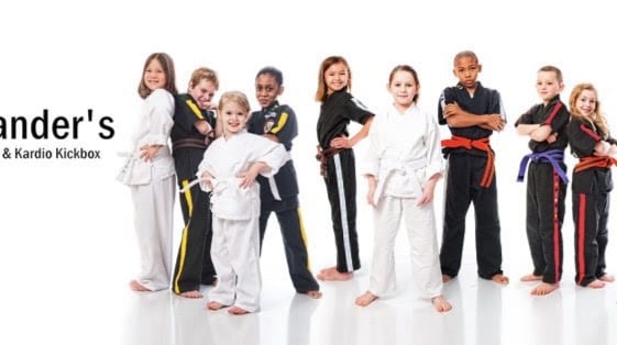 Alexander's Martial Arts