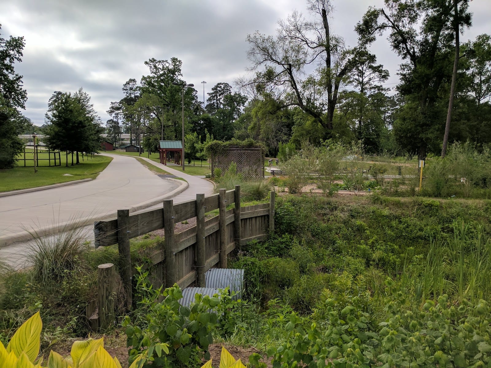 Dennis Johnston Park, photo 2
