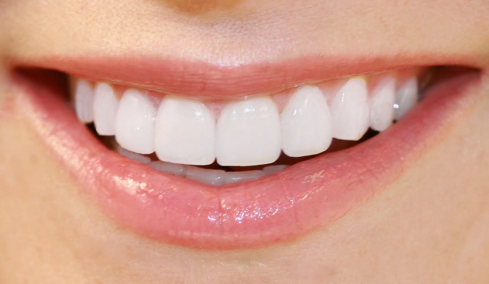 Sarasota Dental Group, Drs. Fabiani and Karp, photo 2