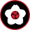 Nokido Ju-Jitsu, Judo & BJJ