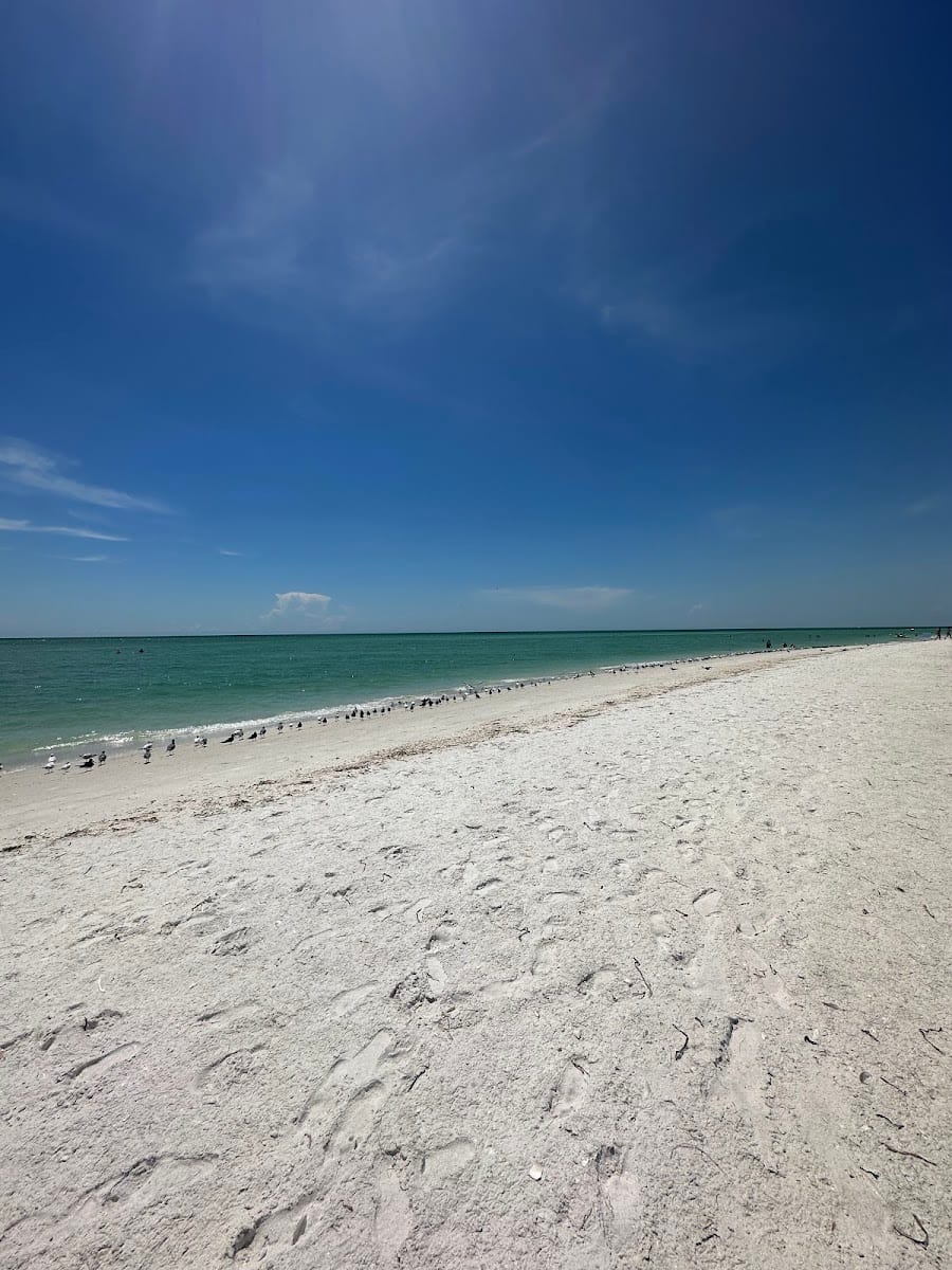 South Lido Key Beach