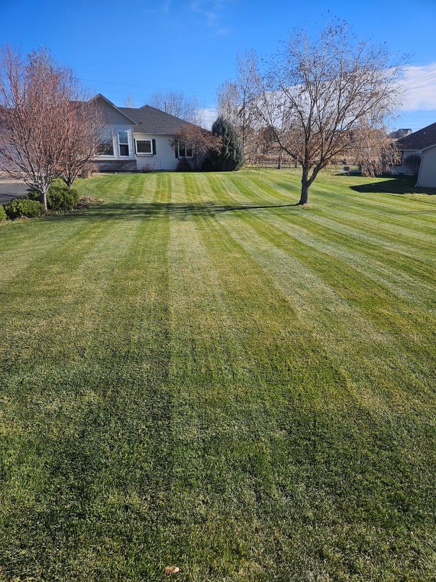 Rocky Mountain Mowing