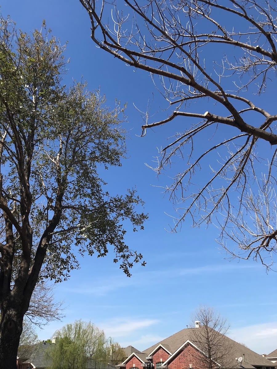 Baker Landscape & Tree Services, photo 3