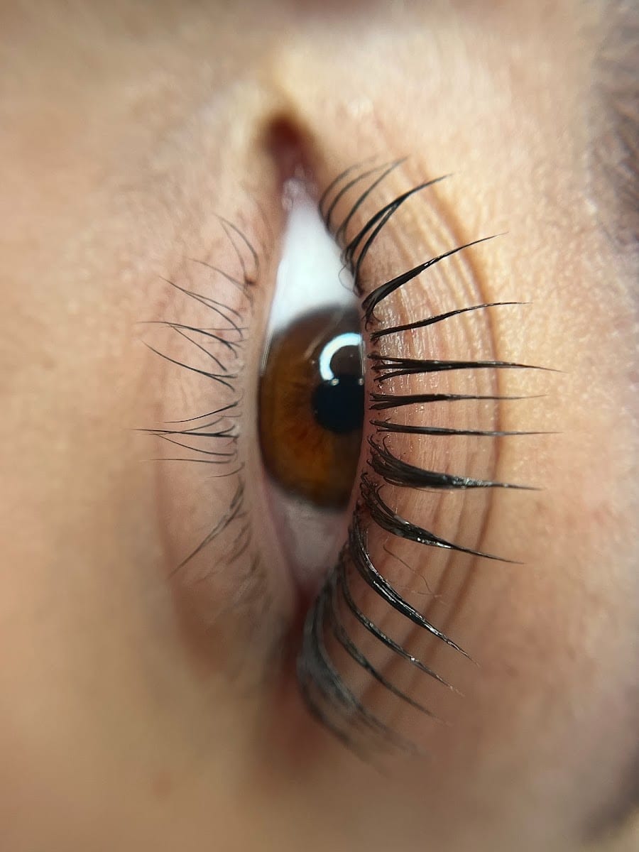 Marcy lash studio