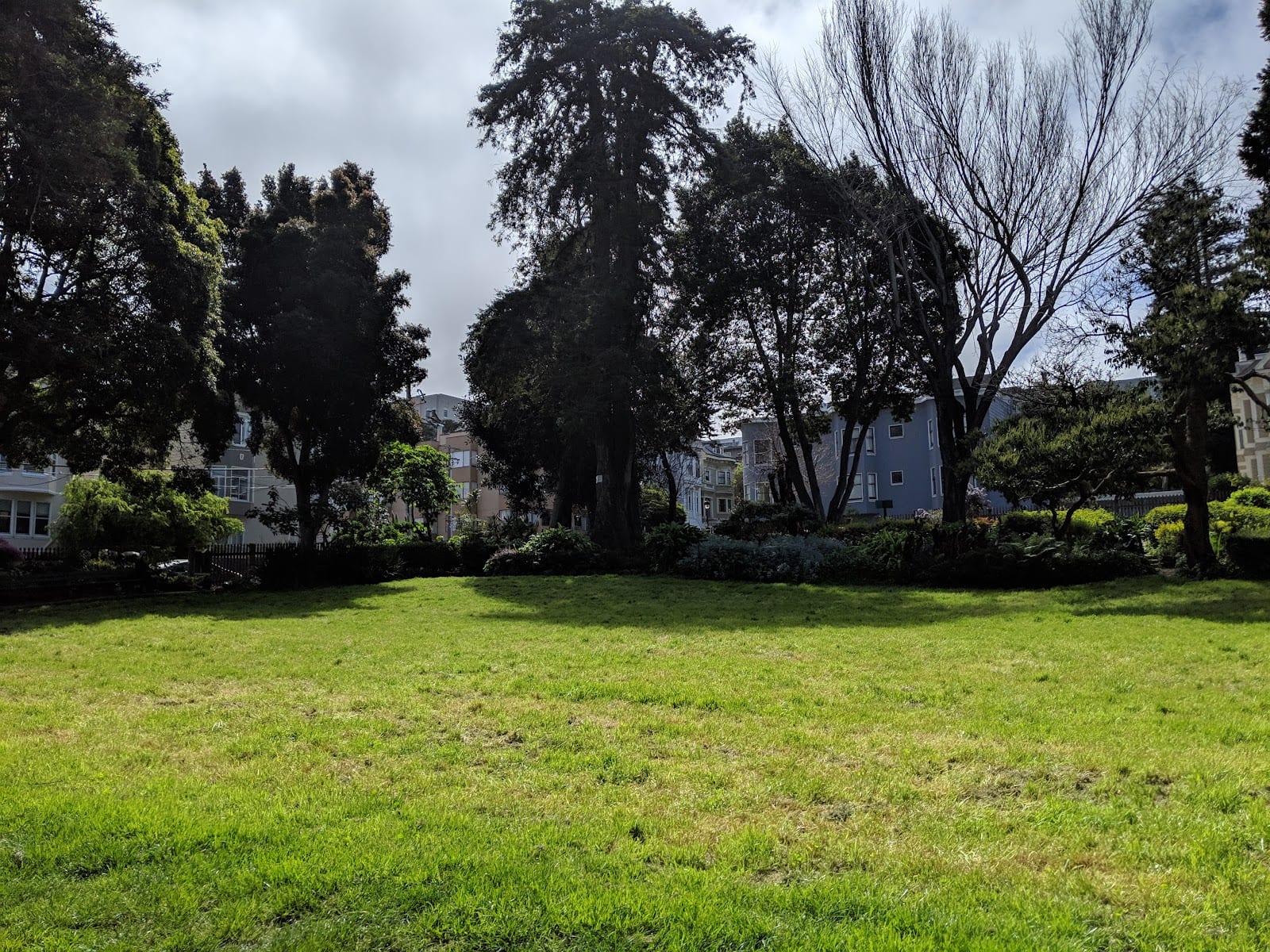 Allyne Park
