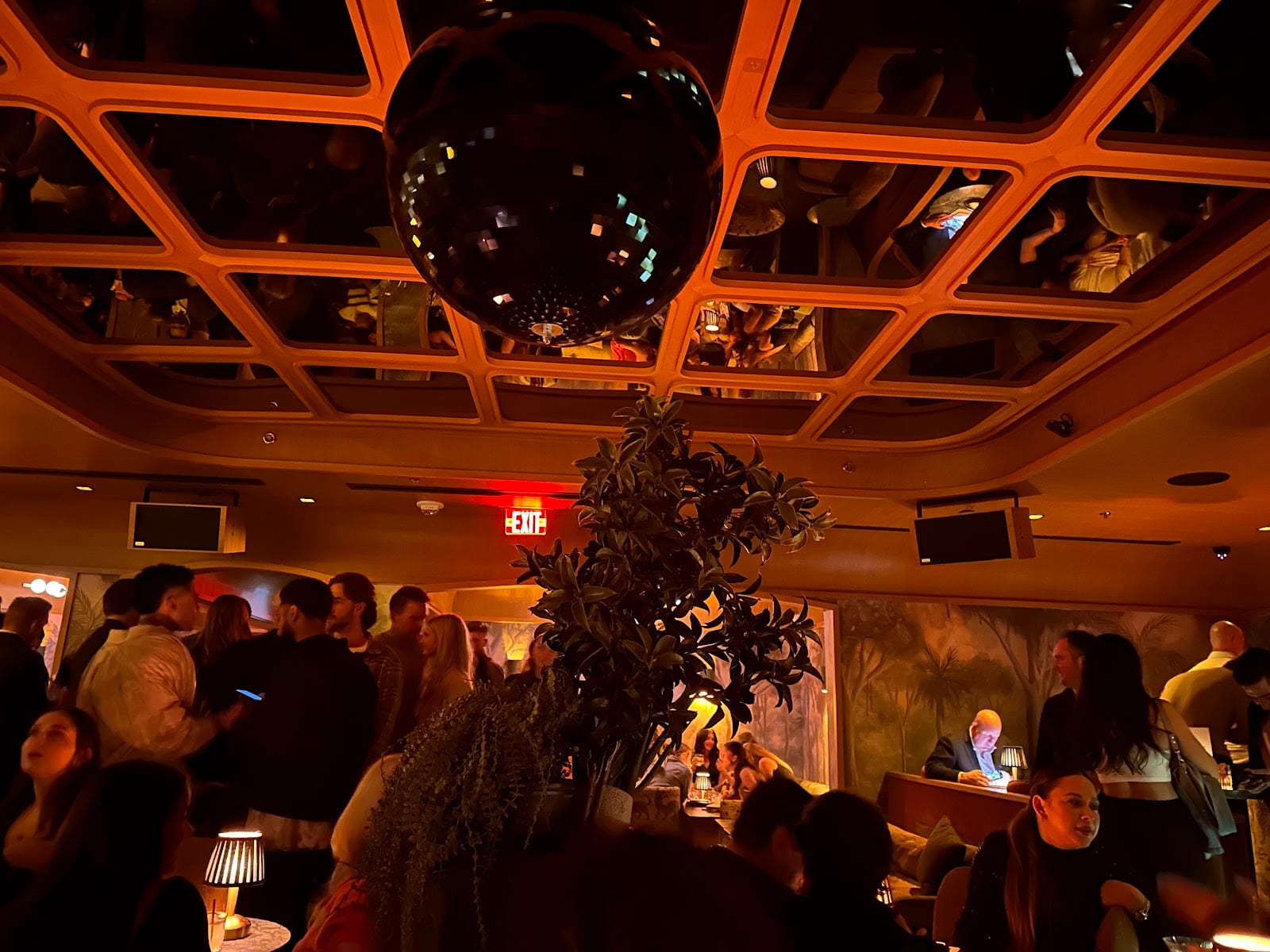 Bar Bambino, photo 4