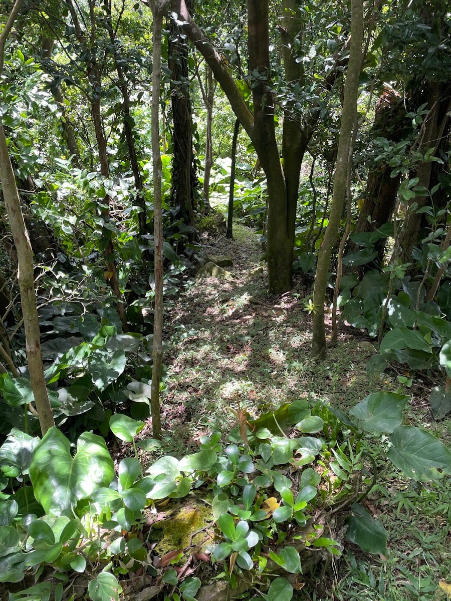 Hope Ridge MVO trail