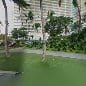 Waikiki Beach Resort