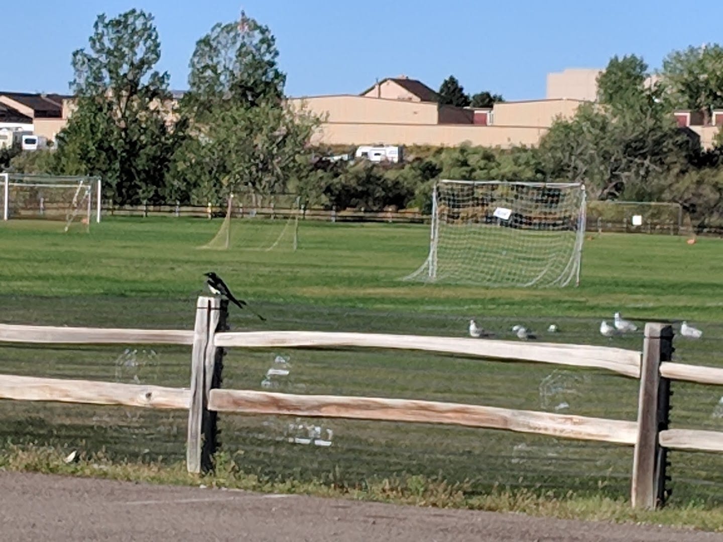 Gates Soccer Complex North, photo 4