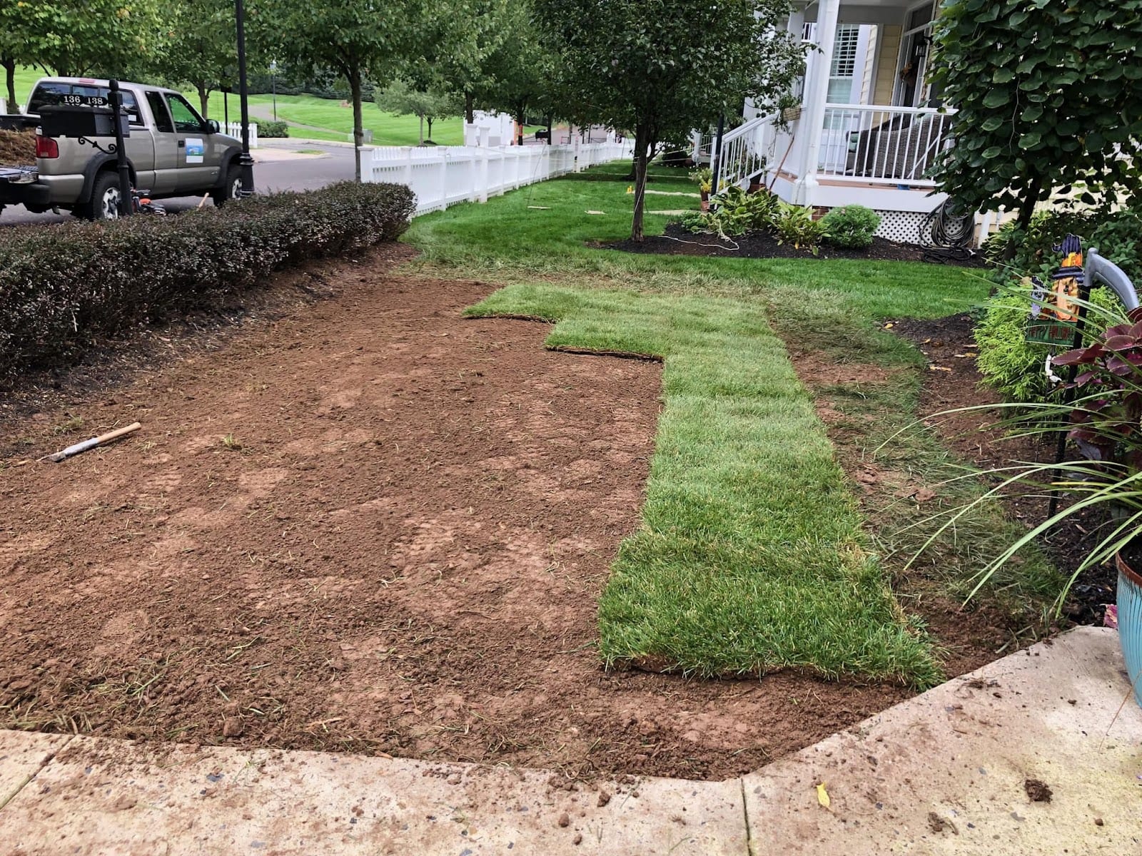Stump Sharks Stump Removal, photo 2