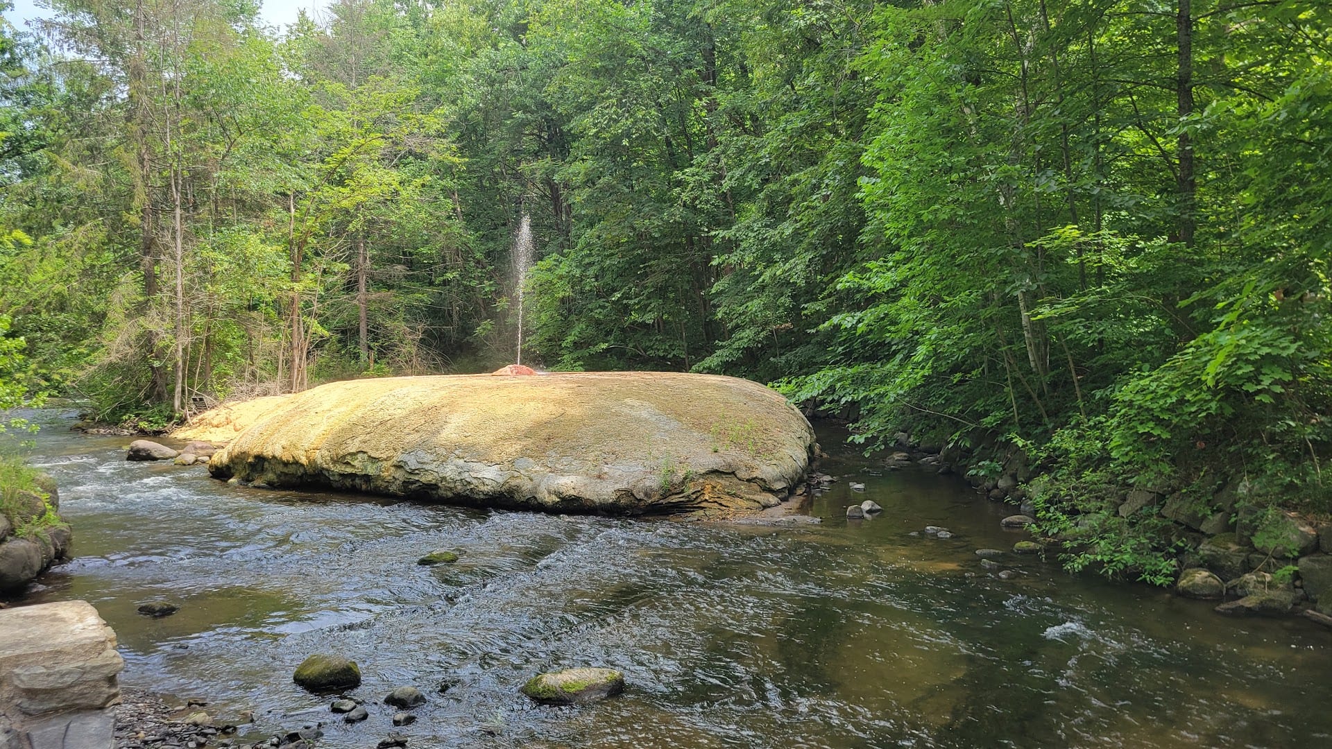 Hayes Well Spring