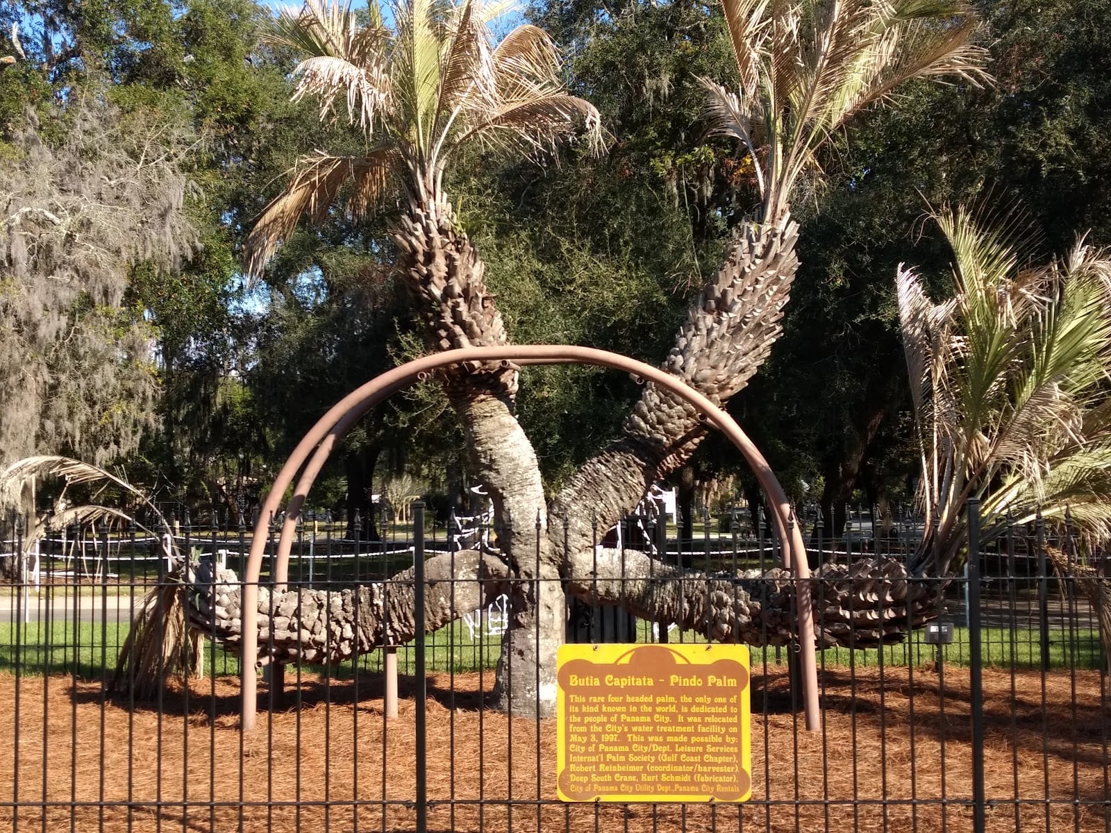 Oaks by the Bay Park, photo 3