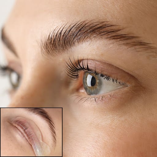 Eyebrow Plus, photo 3