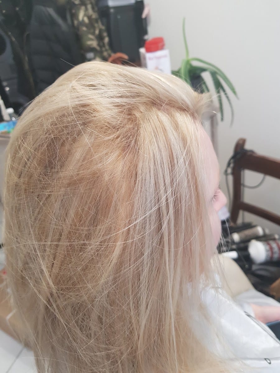 Hair Elegance, photo 3