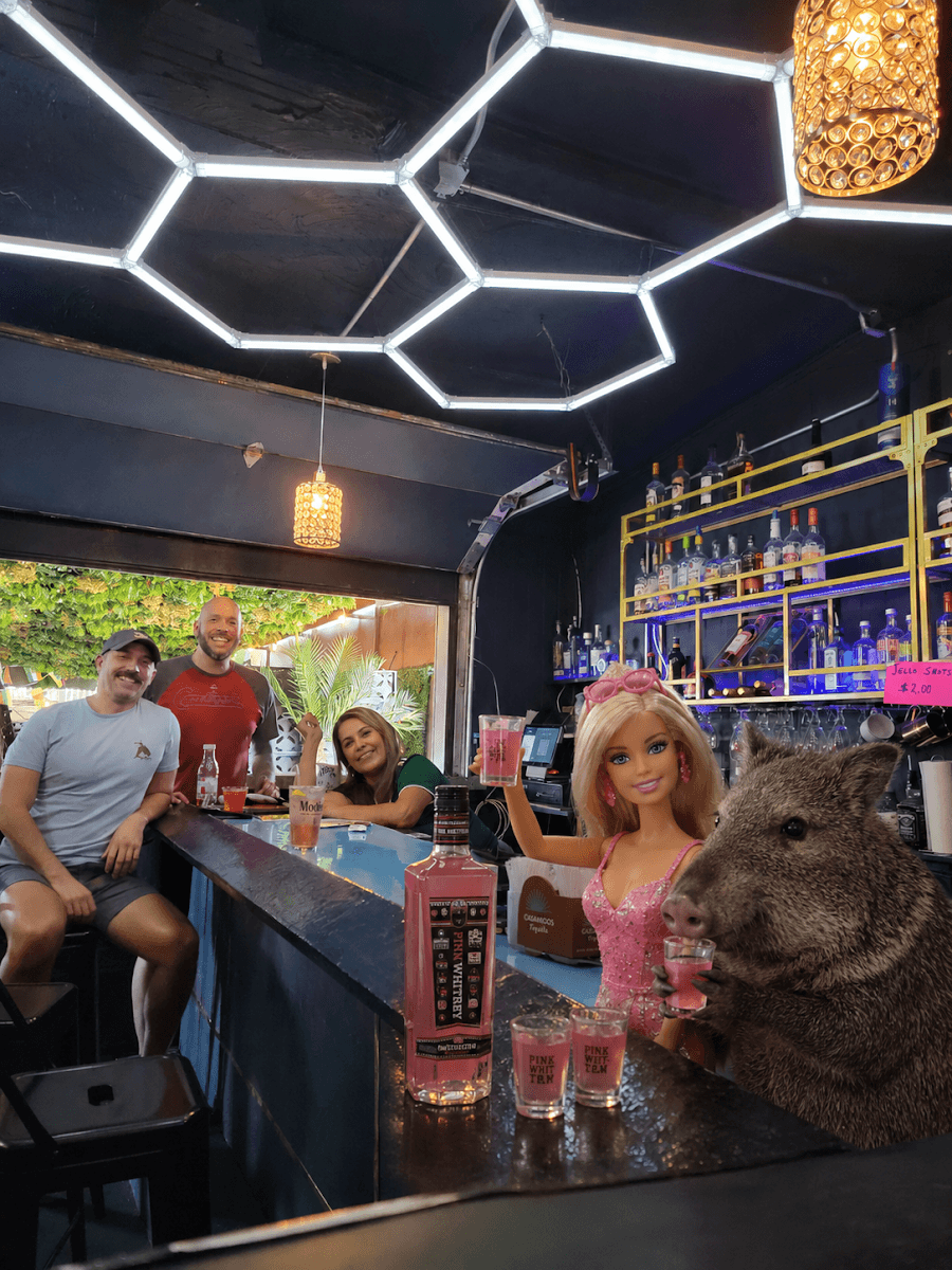 Ovia Bar and Lounge, photo 2
