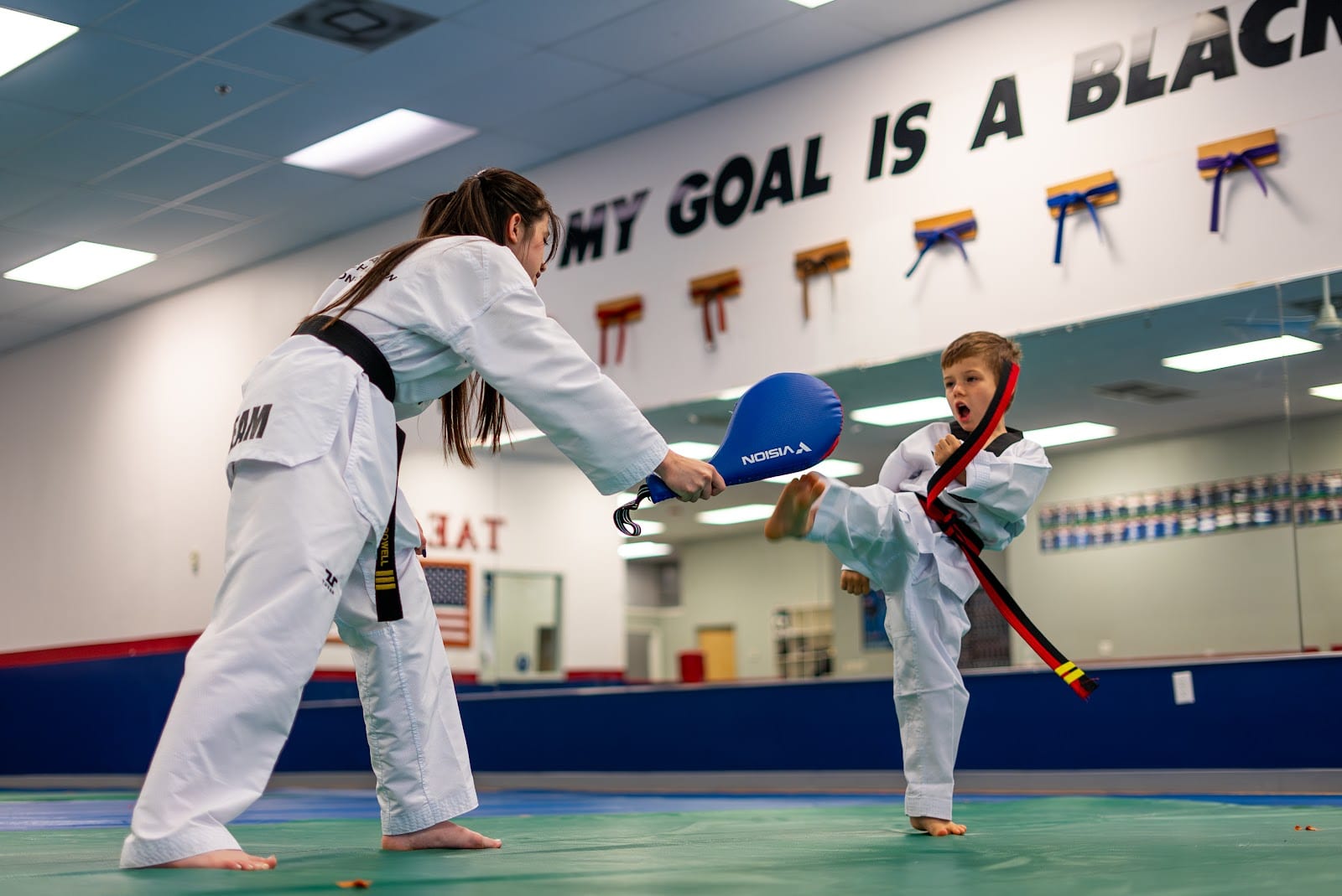 Master Park's World Champion Taekwondo, photo 2