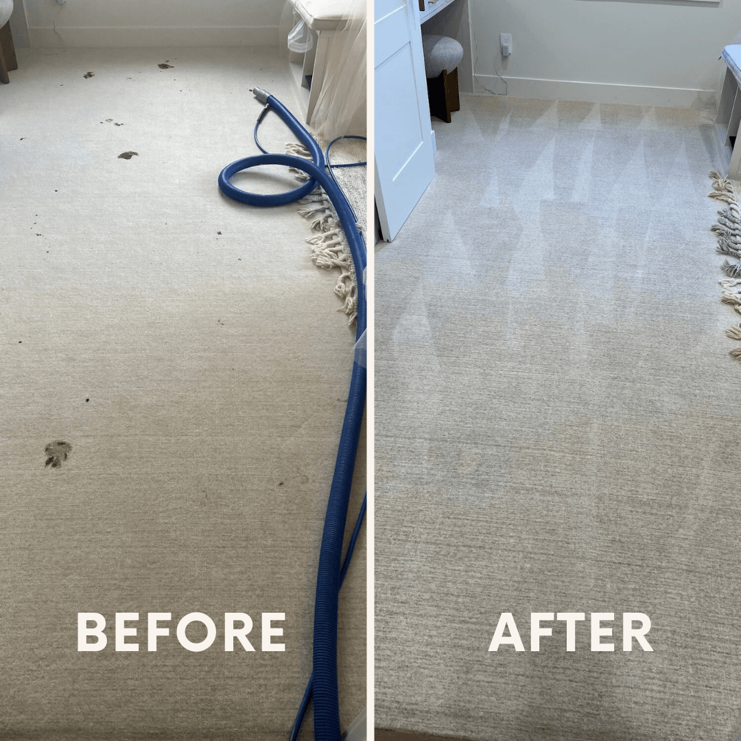 Prestige AJ Cleaning services, photo 3
