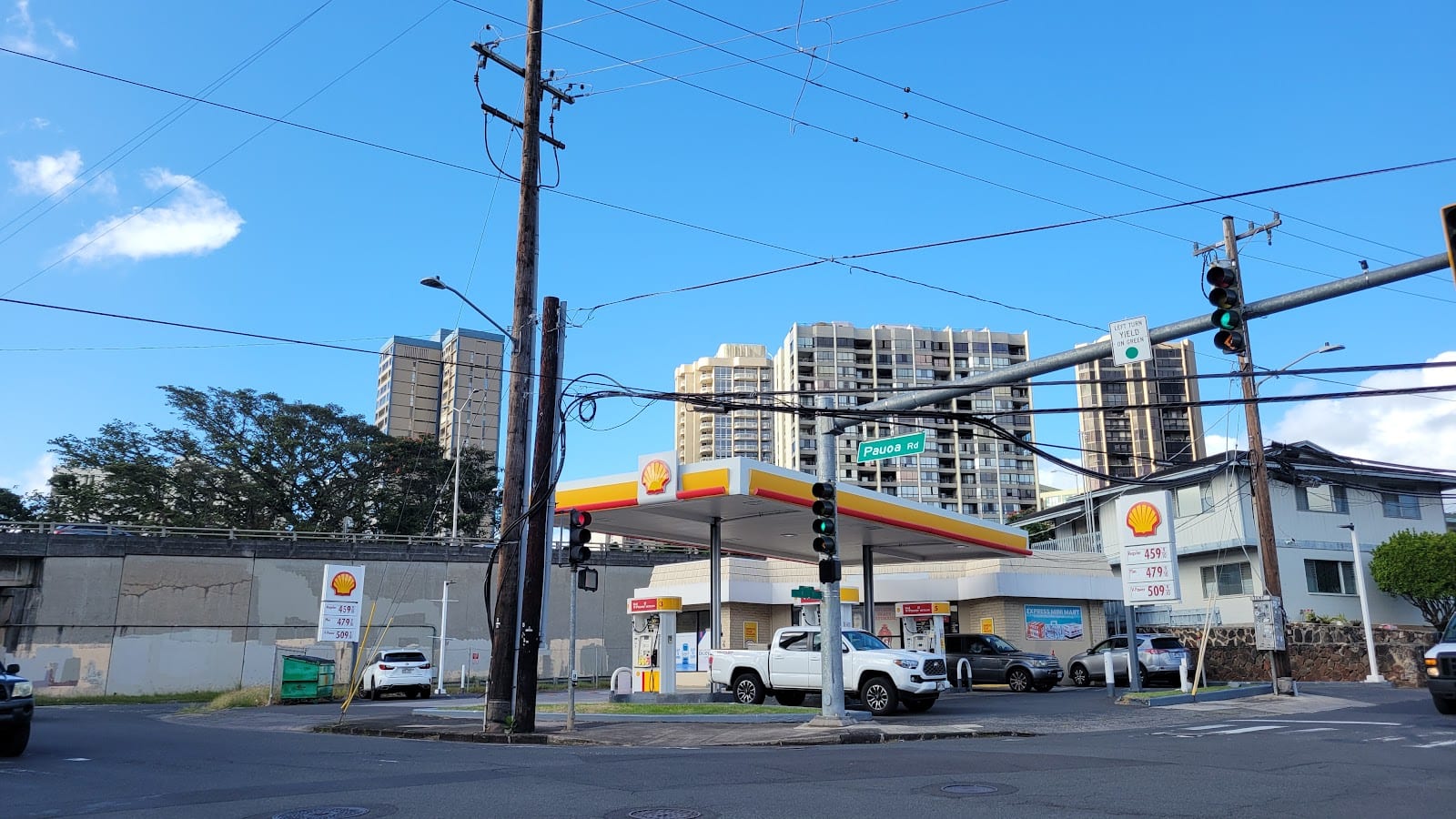 Shell, photo 3