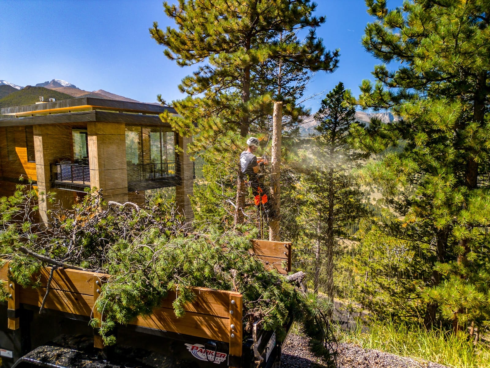 Alpine Tree Service, Estes Park