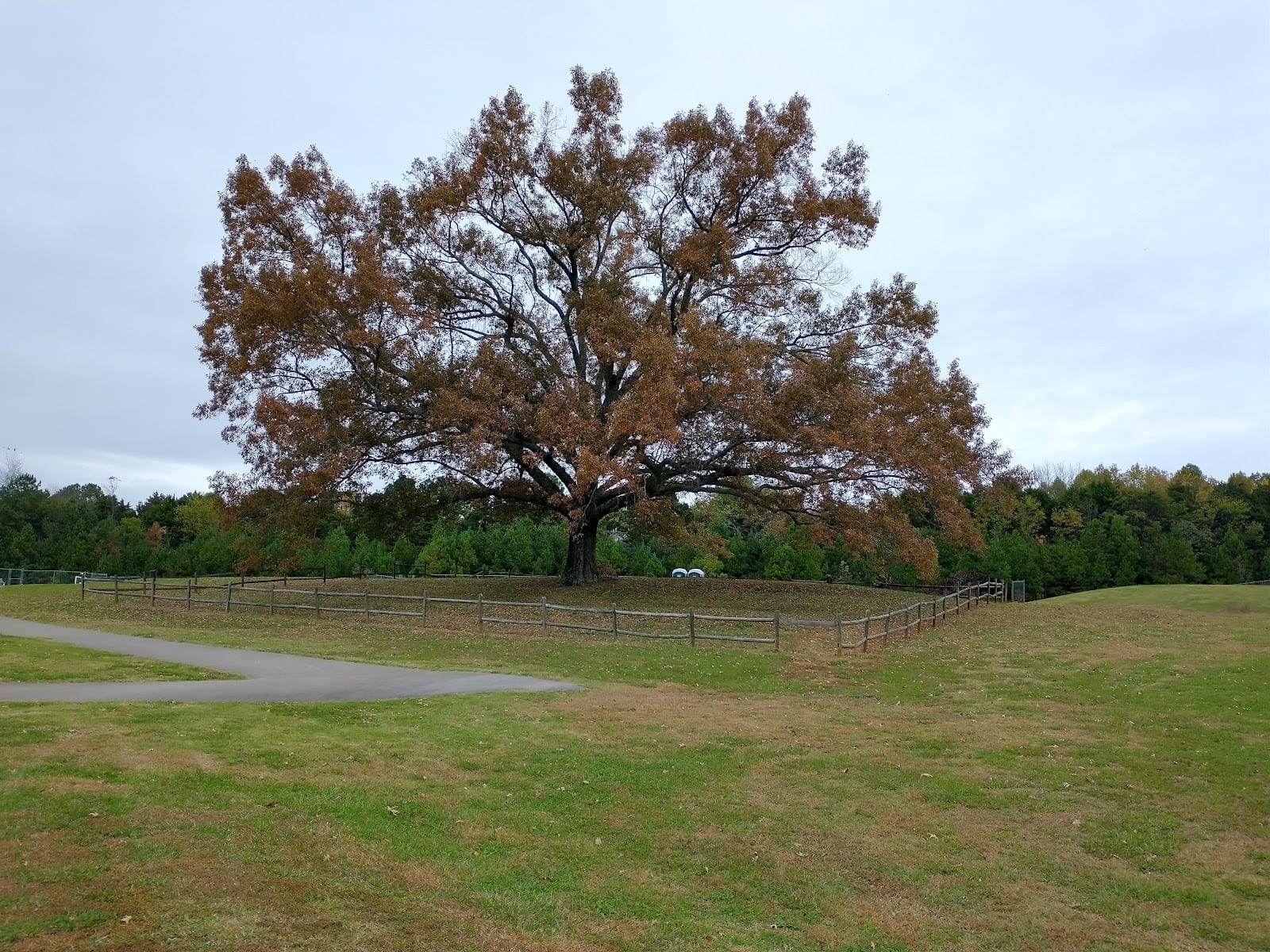 Dublin Memorial Park Soccer Field