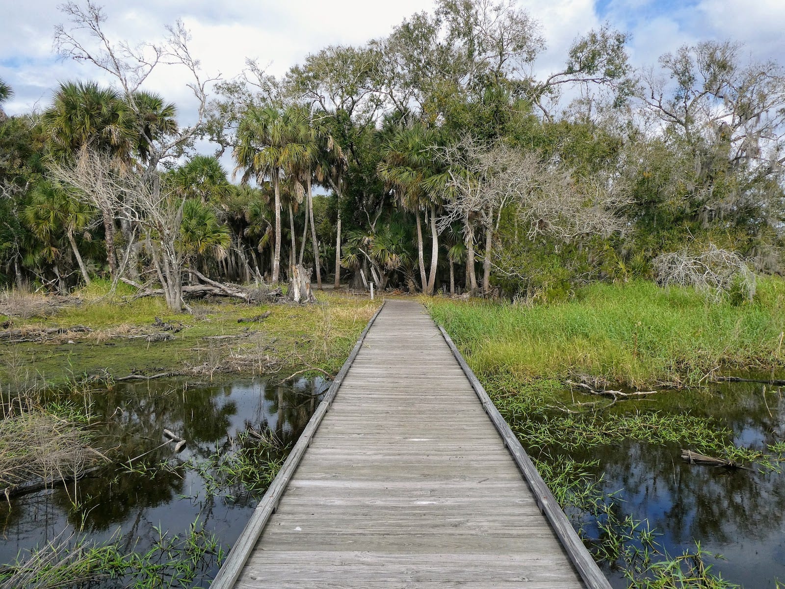 Myakka River State Park North Entrance