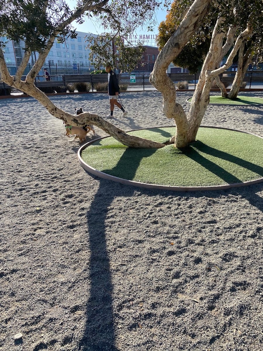 Mission Creek Dog Park, photo 3