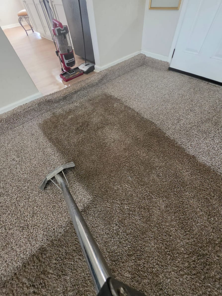 Precision Carpet & Upholstery Care, Inc.