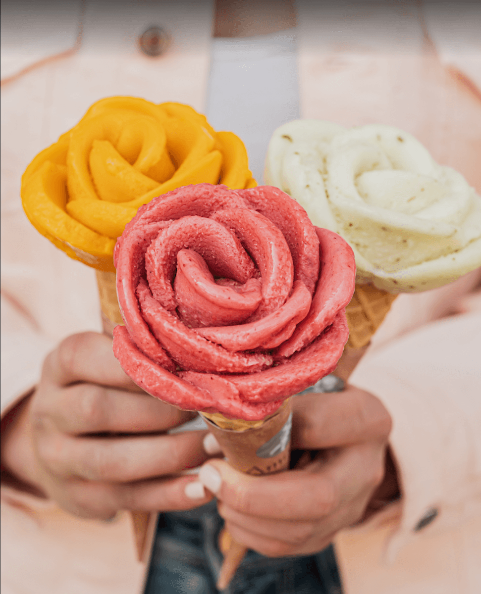 Amorino Gelato - Tampa